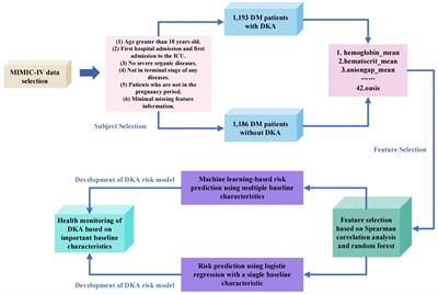 Feature selection and risk prediction for diabetic patients with ketoacidosis based on MIMIC-IV